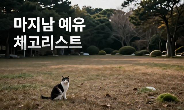 고양이장례비용 관련 이미지 - 고양이장례비용, 막연한 걱정보다 중요한 '마지막 예우'를 위한 체크리스트