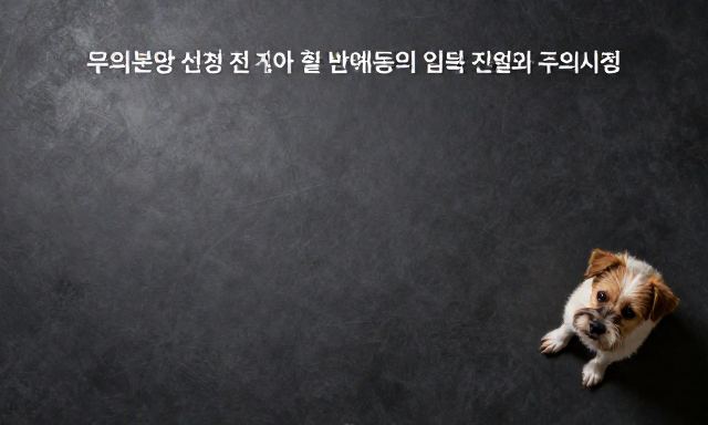 무료분양 참고 이미지 2
