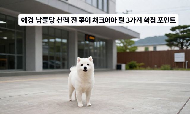 애견납골당 관련 대표 이미지
