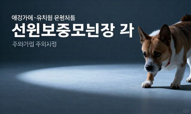 신원보증보험가입 관련 이미지 - 애견카페·유치원 운영자를 위한 신원보증보험가입 절차와 주의사항 총정리
