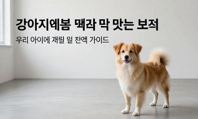 강아지보험추천 관련 대표 이미지