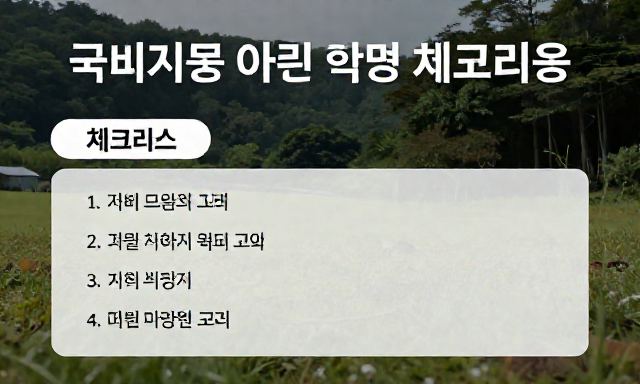 국비지원애견미용 관련 대표 이미지