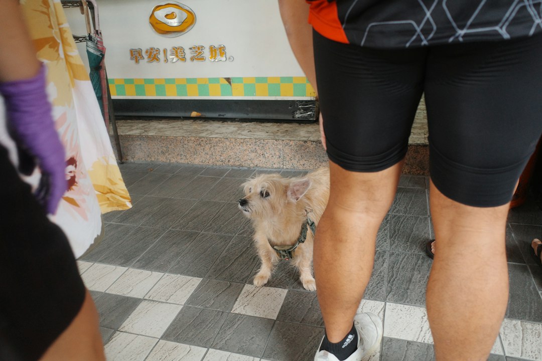 강아지화장실 참고 이미지 2